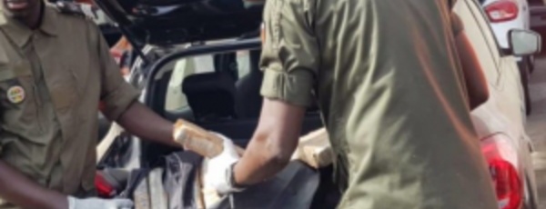 Nouvelles révélations sur la saisie de cocaïne : le cerveau sénégalais et son complice latino en fuite