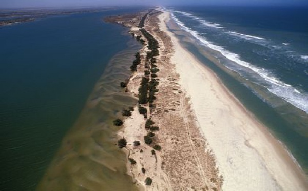 [VIDEO] Saint-Louis: le parc de la Langue de barbarie menacé par la mer