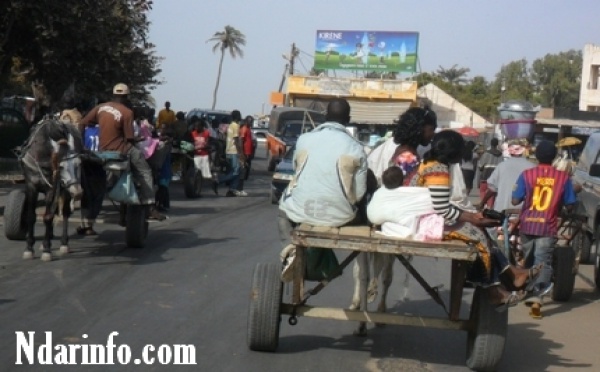 [PHOTOS-VIDEO] Saint-Louis: Grève des transporteurs : la bonne affaire des charretiers