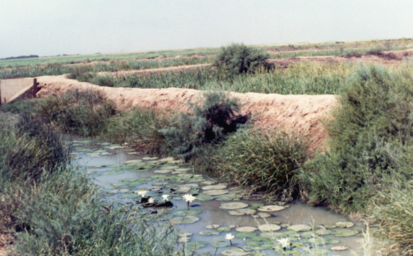 Richard-Toll: Un corps sans vie retrouvé au bord du fleuve