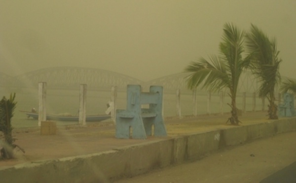[Reportage Photos] Cette poussière mystérieuse qui crée la psychose à Saint-Louis