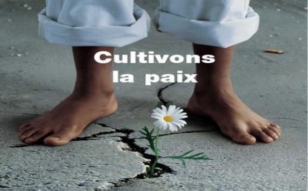 CONTRIBUTION  Pour une préservation de la paix sociale