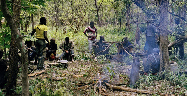 Casamance : Attaque inopinée de 4 individus armés à Saliotte