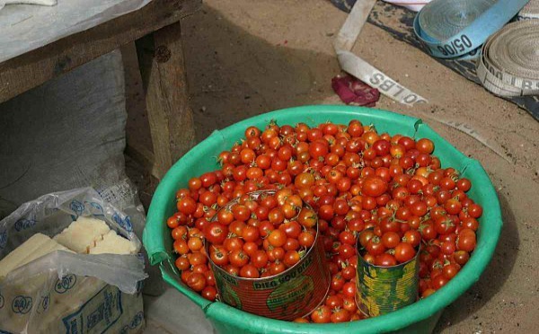 POUR BOOSTER LA PRODUCTION DE RIZ DANS LA VALLEE : Les professionnels copient sur la filière tomate