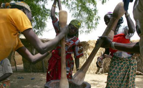 Journée internationale de la femme: le rôle crucial de la femme rurale