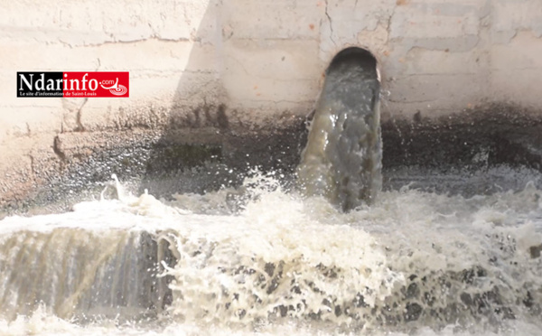Pollution de l'Usine chinoise Sea Production : GREEN PEACE Afrique dénonce (vidéo)