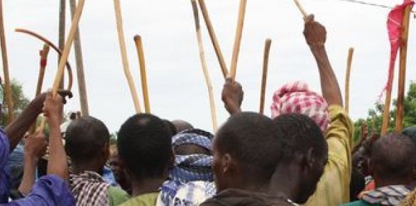 Podor : Un mort dans des affrontements entre agriculteurs et éleveurs