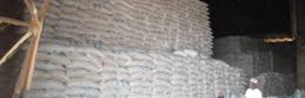 DÉLÉGATION À LA SOLIDARITÉ NATIONALE : Nébuleuse sur un marché de riz estimé à un milliards