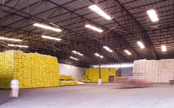Saint-Louis : diagnostic de la rentabilité des infrastructures de stockage supplémentaires du riz de la vallée