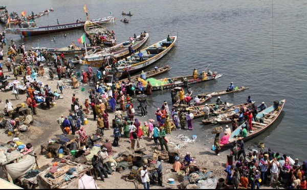 Mauritanie: Plaintes des mareyeurs sénégalais: ''«On nous impose d’embarquer avec nous deux mauritaniens(...) introuvables, soit inexpérimentés(..) en plus, nous payons jusqu’à 2000 Ouguiyas