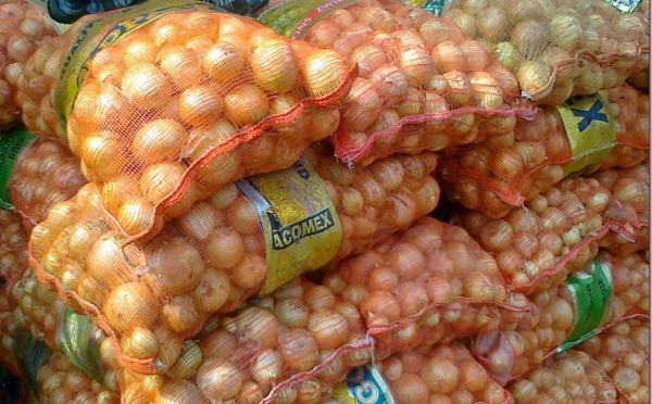 Saint-Louis : l’UNACOIS s’engage à acheter l'’oignon de la vallée