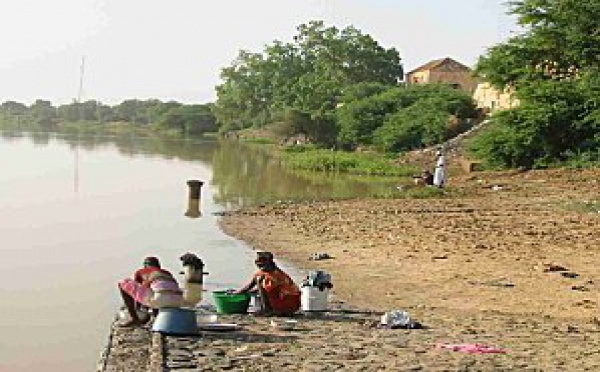 Saint-Louis: L’affaire des terres de Fanaye ressuscitée