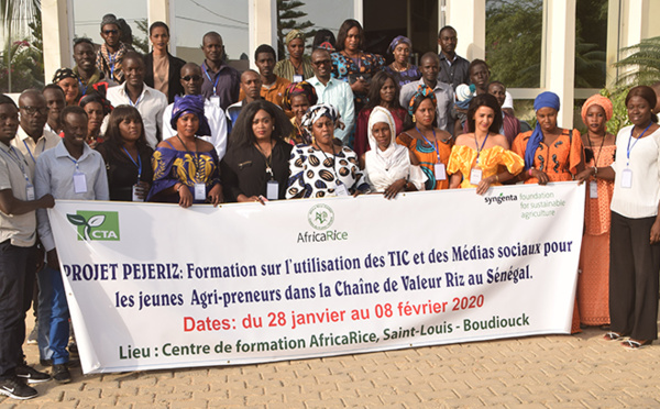 DÉVELOPPEMENT DU RIZ DE LA VALLÉE : 109 jeunes agripreneurs formés sur l’utilisation des TICS (vidéo)