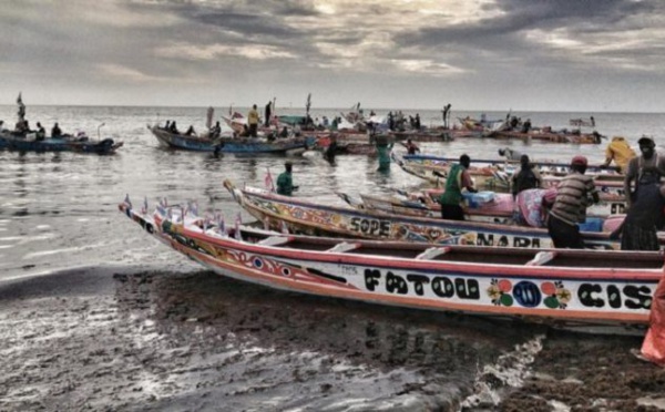 Libération des 4 pêcheurs de Saint-Louis arrêtés en Mauritanie