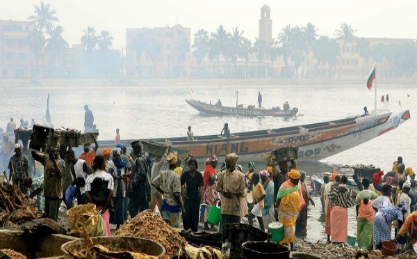 Saint-Louis, la belle métisse s'encanaille(par Damien Glez)