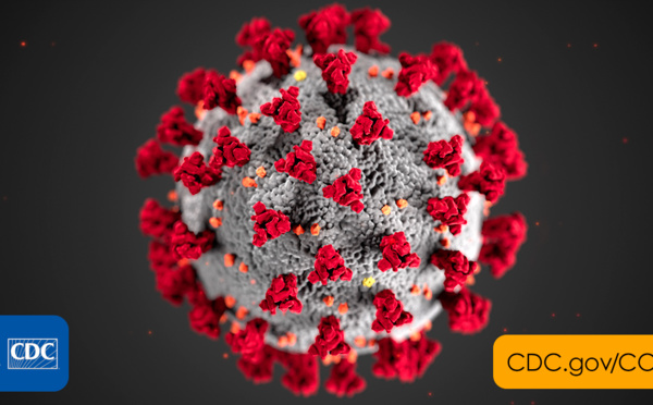 Enfin une réponse sur la durée de vie du coronavirus ...