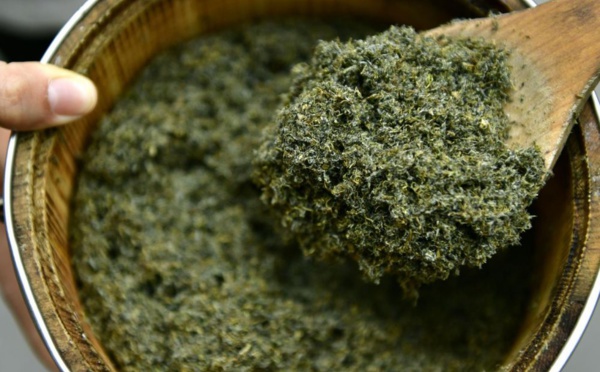 Appel à projet pour le lancement d'un essai clinique sur l'efficacité de l'artémisia contre le Covid-19 : Le Sénégal fait partie des pays ciblés, selon la présidente de la maison de l'Artémisia.