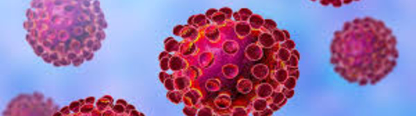 Covid-19 au Sénégal : 57 vas positifs, ce dimanche