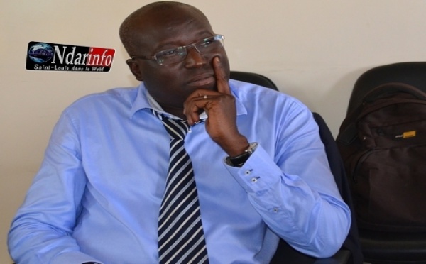 Migration féminine : Le GERM expose le désarroi des sénégalaises travailleuses en Espagne et exige la lumière sur les 19 milliards