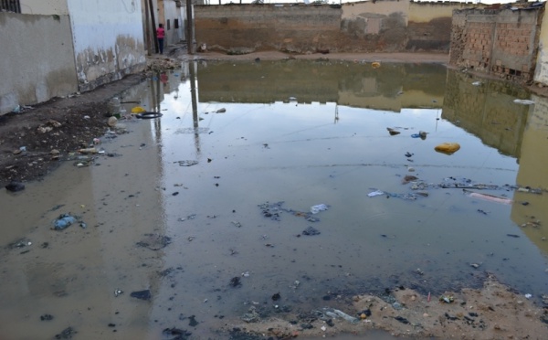 Zones à risques d'inondation: Saint-Louis citée par La Météo sénégalaise