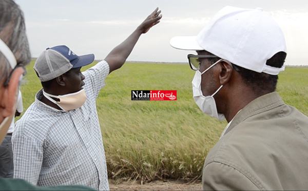 PRESSION AVIAIRE DANS LA VALLÉE : des traitements aériens pour freiner le péril (vidéo)