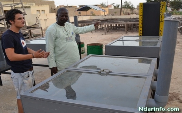 (Vidéo-Photos)Coopération Saint-Louis-Toulouse: Les mareyeuses de l'Hydrobase initiées à des systèmes de séchage plus économiques et hygiéniques