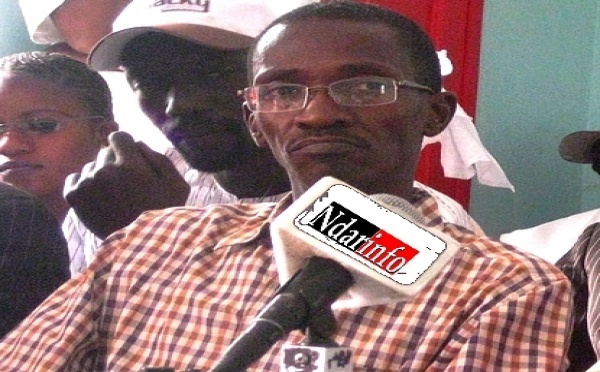 (Audio) Eradication des chiens errants  à Saint-Louis: La Mairie annonce une nouvelle offensive de 3 jours