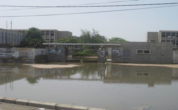 Les quartiers de  Khare Yalla, Darou, Cité Niakhe, Médina Courses et Diaminar inondés: Les populations crient au secours (Audio) 