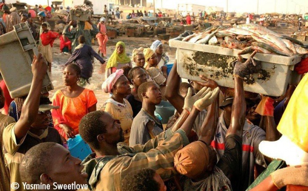 [Vidéo] L'Emission Horaire Bi de la TFM à Guet Ndar. Regardez.