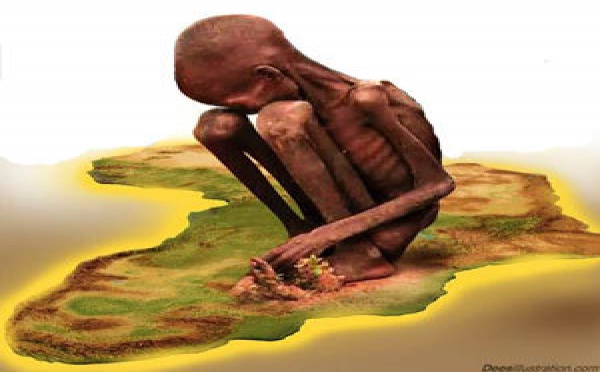 L'Afrique peut nourrir l'Afrique( Rapport de la Banque Mondiale)