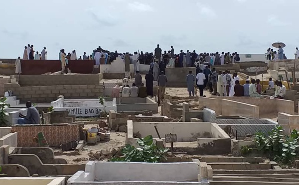 THIAKA NDIAYE : Une prolifération de chiens errants et des constats de corps déterrés