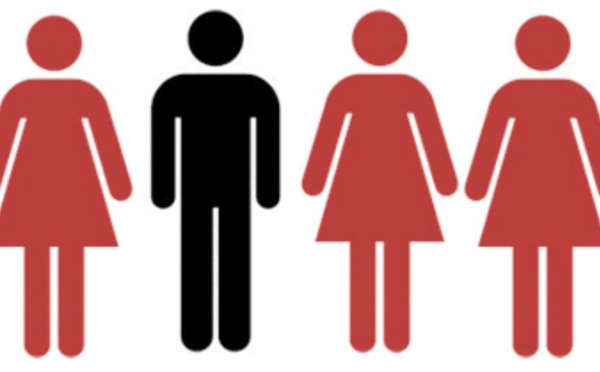 France - Ce qui se trame derrière le dos des polygames qui y résident