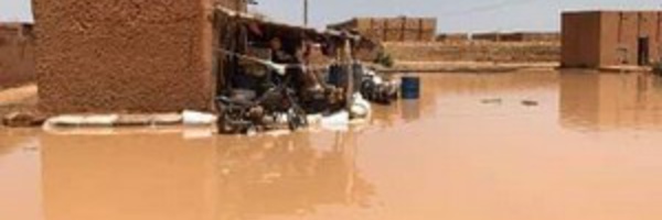 Mboyo : les périmètres rizicoles envahis par les eaux du fleuve (habitant)