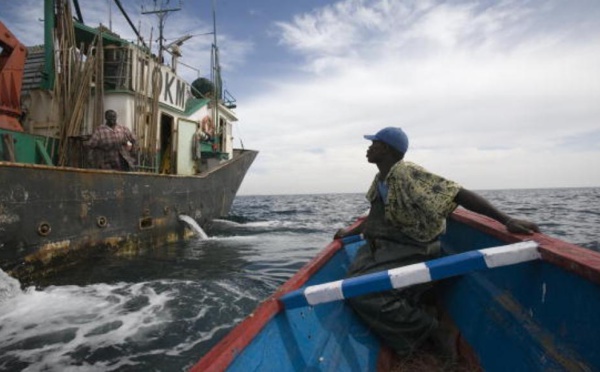 L’ONG Greenpeace dément le ministre de la Pêche
