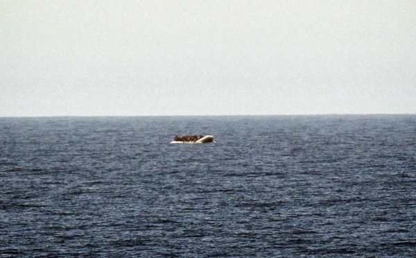 Mauritanie : " une cinquantaine de décès" dans le naufrage d’un bateau de migrants sénégalais