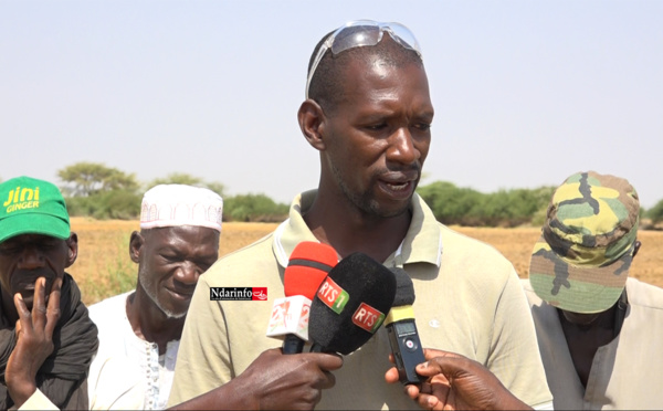 "Ce que je gagne dépasse le salaire d’un ministre", confie un jeune agriculteur de la vallée (vidéo)