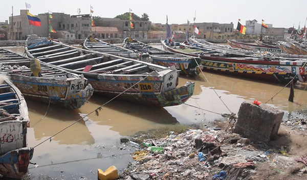 REMOUS SUR LES LICENCES DE PÊCHE : l’URPAS crie à l’injustice, indexe la commission « Diamalaye » (vidéo)