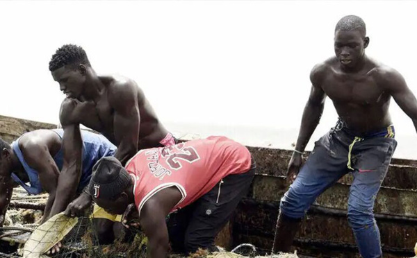 Maladie mystérieuse : quatre substances ont bel et bien été détectées en mer