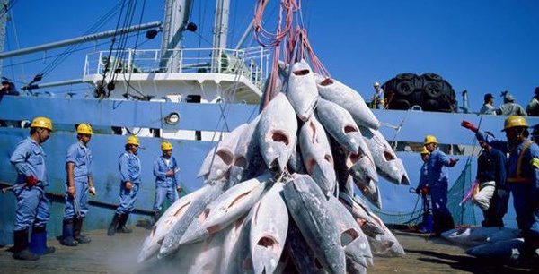Accord de pêche : quand le Maroc, la Mauritanie et le Sénégal négocient séparément avec l’Europe des 27