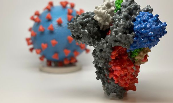 Covid-19 : la nouvelle souche qui touche l’Angleterre inquiète les épidémiologistes