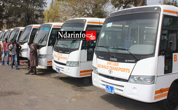 Nouveau « Terminus » à la Place Faidherbe : GUET-NDAR lance un avertissement aux bus TATA