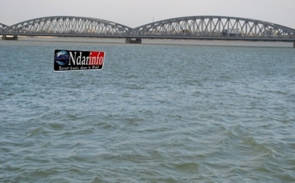 Suicide : Un homme  monte sur le pont Faidherbe et saute dans le fleuve.