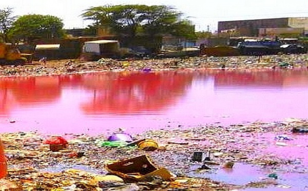 Danger à Diaminar : Des flaques d’eaux usées se transforment en ‘’lac rose’’.