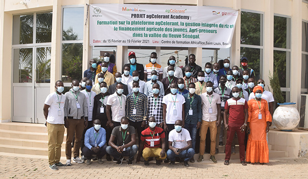 Conseil et Suivi agricole : AfricaRice forme une quarantaine de jeunes de la vallée (vidéo)