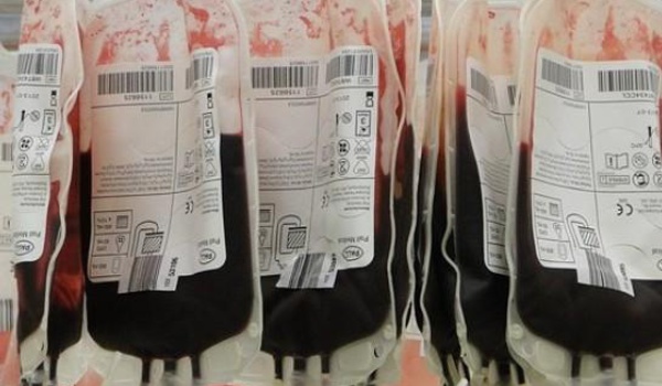 DON DE SANG : les jeunes répondent massivement à l'appel de FREESENEGAL