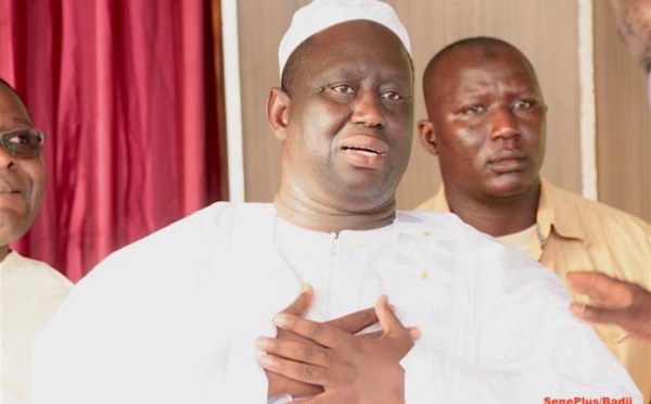 Aliou Sall : « Lors des manifs, aucun d’entre eux n’a osé sortir de son trou »