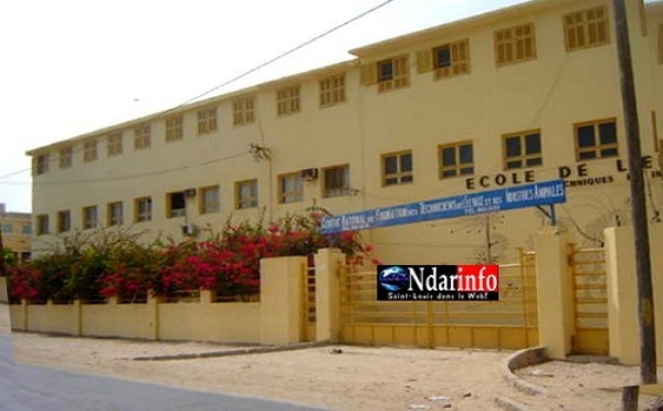 L'école de l'élevage de Saint-Louis pourrait accueillir des bacheliers non orientés.