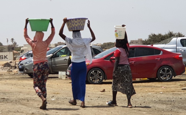 Pénurie d’eau à Saint-Louis : Corvées de femmes dans les périphéries ...