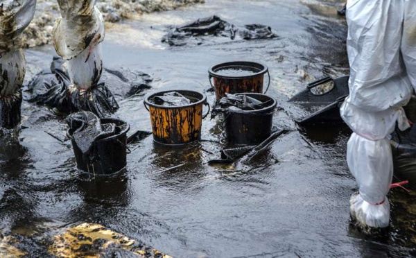 Exploitation pétrolière : un expert anticipe sur le danger des marées noires sur la biodiversité marine
