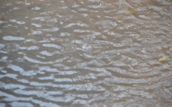 Une forte pluie à Saint-Louis, ce dimanche.